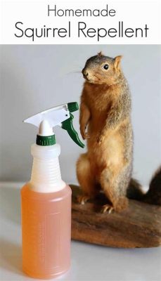 How to Make Peppermint Spray for Squirrels: A Whimsical Journey into Nature's Aromatherapy