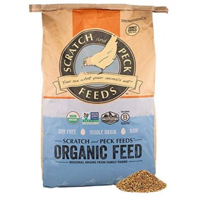 Where to Buy Chicken Feed: Exploring the Feathered Frontier of Poultry Nutrition